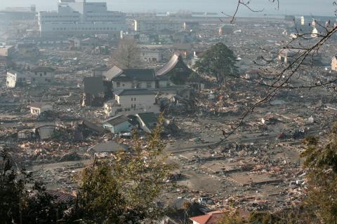 Canadian Red Cross, Japanese Red Cross