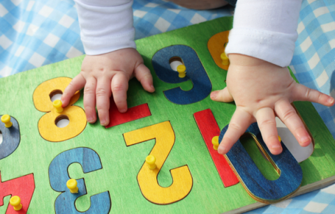 Toy Lending Libraries A Widespread