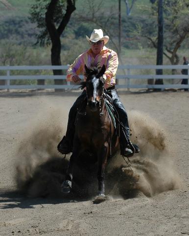 William Shatner Backs Therapeutic Horse Riding Programs For Kids and ...