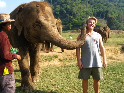 Elephant Kiss